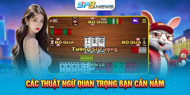 Các thuật ngữ quan trọng bạn cần nắm