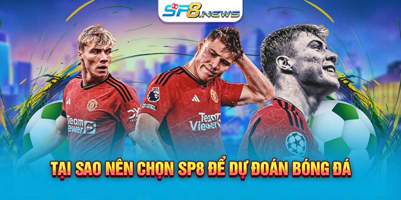 Tại sao nên chọn SP8 để dự đoán bóng đá?