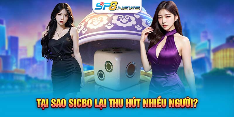Tại sao Sicbo lại thu hút nhiều người?