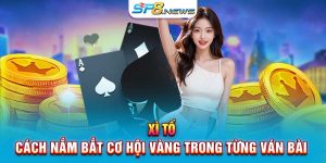 Xì Tố - Cách Nắm Bắt Cơ Hội Vàng Trong Từng Ván Bài