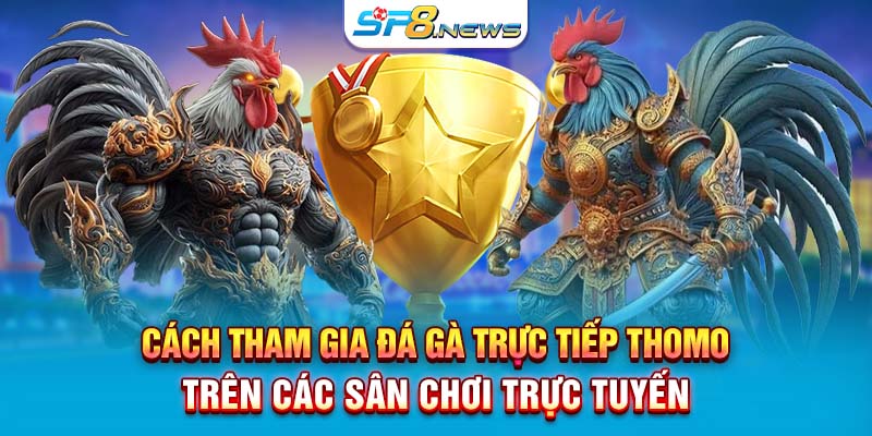 Cách tham gia đá gà trực tiếp Thomo trên các sân chơi trực tuyến